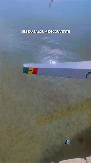 Bienvenue sur l’île du Saloum!Un joyeux caché au cœur du Sénégal 🇸🇳:plage paradisiaques,mangroves,villages traditionnels et une nature à couper le souffle ! #senegal #découverte @Îles du saloum Découverte 🇸🇳