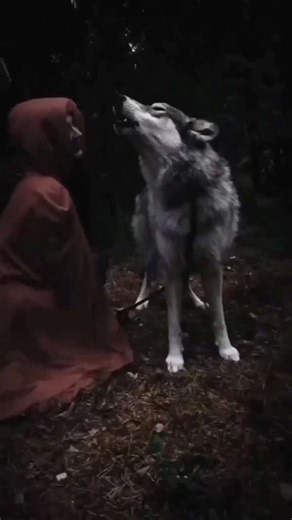 Into the Wild: A Magical Encounter with a Howling Wolf