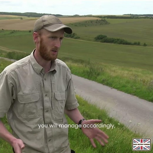What are Buffer Strips and how do they work? 🐝 #backbritishfarming