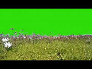 flower green screen background video | 4K