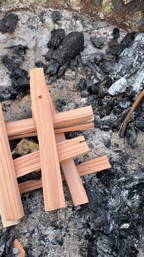 Watch What you need to know about these fire starters on Amazon Live