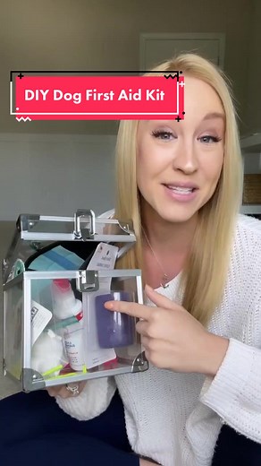 Dog First Aid Kit Essentials: Must-Have Items for Your Pet's Safety