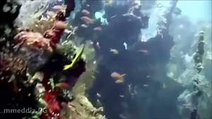 Once upon a time There was a Mermaid...