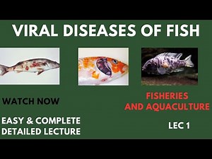 Viral Fish Diseases/ BS/MS/Feeding Pakistan Aquaculture Handbook
