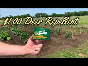 Keep Deer Out Of The Garden & Fruit Trees W/ Soap | Gardening Hack |