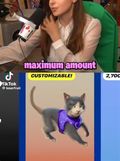 Cats Gifting in Fortnite with Loserfruit
