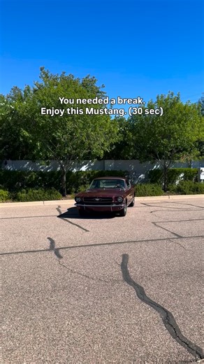 There’s something about patina 😮‍💨 #mustang | Bobby Adams