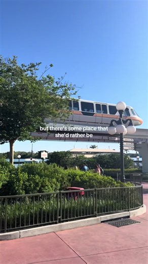 Discover the Magic of Disney Parks