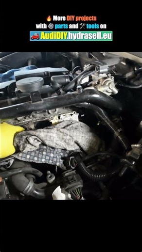 Zip Ties Intake Valves and Manifold Cleaning #tfsi #tsi #audi