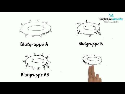 Blutgruppen - einfach erklärt