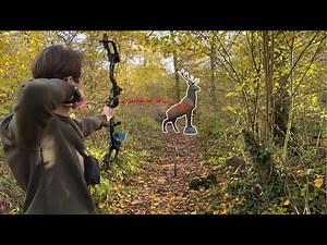 3D Archery Course (filmed in 4k)