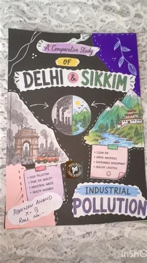 Delhi & Sikkim l Art Integrated Project l Class 10