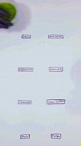 106K views · 2K reactions | Food Formulas | Green Sauces A VERY basic component-based breakdown of various green sauces from around the world and their differences. I want to be as accurate as possible in presenting the most basic version of a particular dish (the essential components), so please let me know if anything is off the mark! #cooking #food #foodscience #foodie #culinary #foodfacts #cookinghacks #cookingtips #sauce #foodformulas | CHEF Styles | Facebook