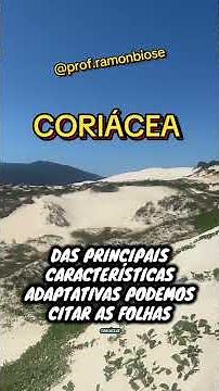 Restinga: o ecossistema que resiste!