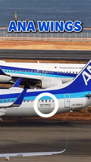 加藤直紀 | ANAウィングス株式会社 ANAホールディングスの独立採算 連結子会社 本社 パイロットやCAや作業員も別で 約1800人在籍。ANA本体が回りきれない離島 小さな空港をこまめに回っています。 B737-800とボンバルディア 65機保有... | Instagram