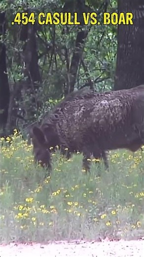 Hand Cannon HEADSHOT #highroadhunting