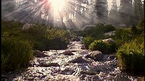 Baby Neptune 2009 DVD (Grow With Me Version)