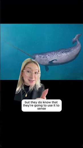 Did you know the narwhal’s ‘horn’ is actually a tooth? #shorts