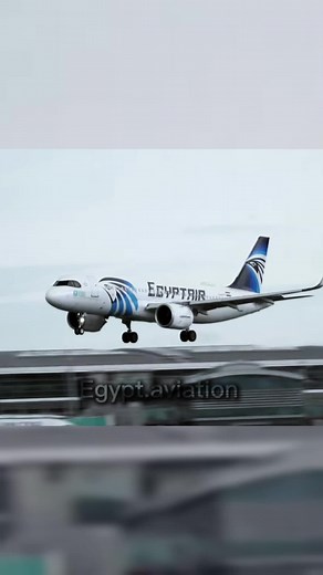 Egyptair Crosswind Landing Compilation