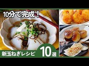 【新玉ねぎ簡単レシピ10選】10分で完成！春に食べたい！｜時短おかずまとめ