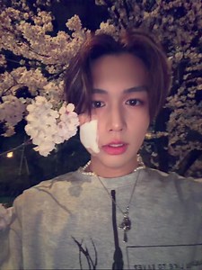 初デートでお花見を計画しよう