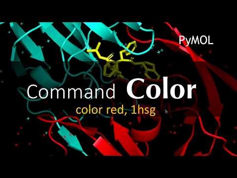 Color Molecules Perfectly in PyMOL | Advanced Visualization Methods