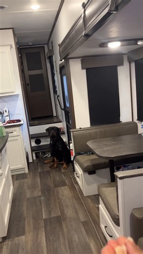 Touchdown 😂 | Kott The Rott