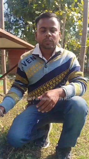 Rahul | Earthworm Breeding Chamber #agriculture #Multiple earthworm #shortshorts #viralreels❤️ | Instagram