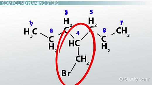 IUPAC Naming for Organic Compounds | Rules, Process & Examples