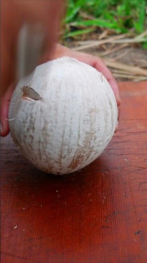 simple way to open a coconut shell