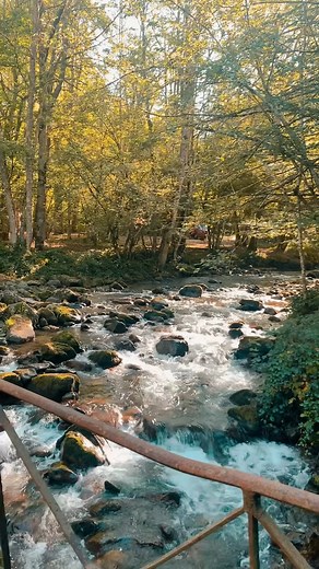 ☀️ L'été en Ariège 💦 Des randonnées au pied des Pyrénées, des villages remplis de charme, des châteaux cathares, des activités en pleine nature et surtout des vacances d'été inoubliables ! 🎒 Et toi quel coin de l'Ariège aimerais-tu découvrir ? 📷 Ivan Olivier - Ariège Pyrénées Tourisme | Tourisme Ariège Pyrénées