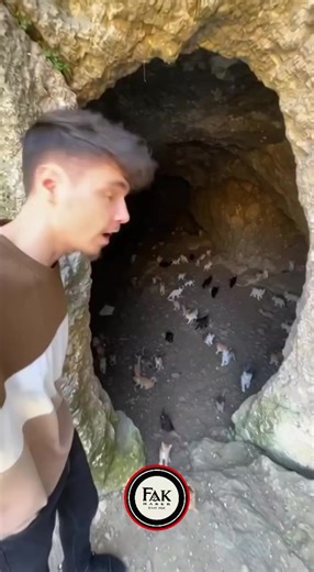 Genç Yüzlerce Yavru Kedinin Mağarasını Keşfetti