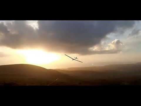 Alpina et Flamingo Contest Multiplex