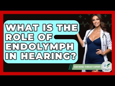 What Is The Role Of Endolymph In Hearing? - Ear Nose Throat Expert