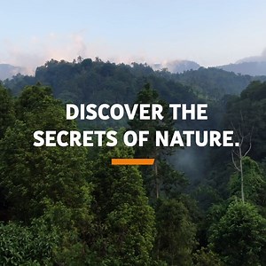 611 reactions · 48 shares | Made for those who seek for new adventures – even if they come in a cup: The new DAVIDOFF Limited Edition. With taste of only the choicest arabica beans from Colombia. Indulge yourself with this exquisite coffee composition. | Davidoff Café | Facebook