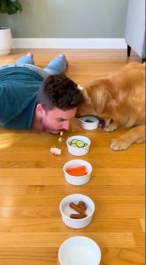 Man vs Dog Eating Contest Challenge (INSANE Food Battle!)