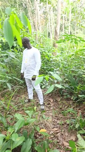 CONSEIL DU 04 FÉVRIER 2026. PAYE TERRAIN FRÈRE. INVESTI ET ATTEND SI TU VEUX PAYER💰 MOINS CHER. DIOMANDÉ MOHAMED LAMINE CONSEILLER & CONSULTANT EN IMMOBILIER ☎: 05 45 85 85 35 (WhatsApp)