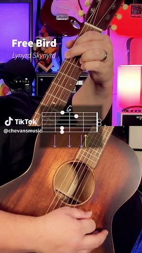 Chas Evans on TikTok