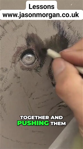 Jason Morgan Wildlife Art on Reels