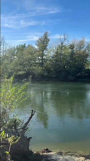 The view of the Waikato River in New Zealand. #waikato #fyp #newzealand🇳🇿