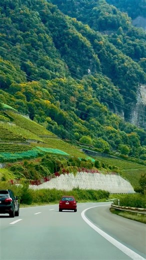 ￼ Long drive ￼ Switzerland, beautiful￼ view nature#travel #placestotravel #visitswitzerland #shorts