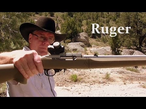 Ruger 10-22 Takedown - Hogue Stock - Bushnell Red Dot = Perfect Combo
