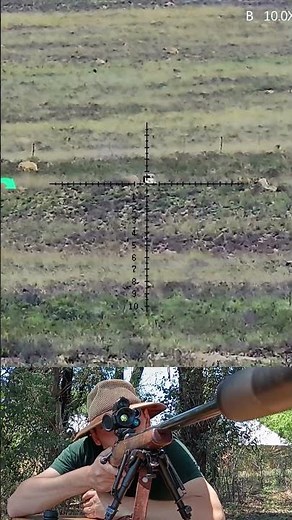 510m Gong Shot Using Only MRAD Holdovers