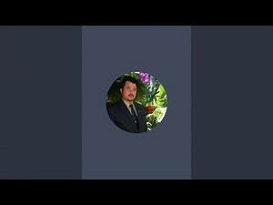 Huy Đức TV is live!