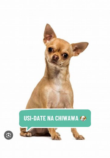 Usi- date na Chiwawa: Dr. Nick Shaboka Jr Ananisa