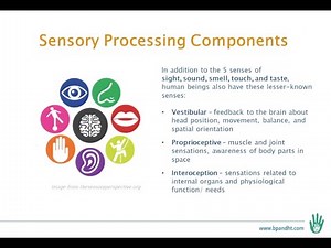 Sensory Processing 101 webinar