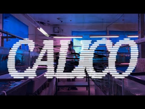 CALICO #02 - kirin | DJ Mix from a Goldfish Shop in Tokyo