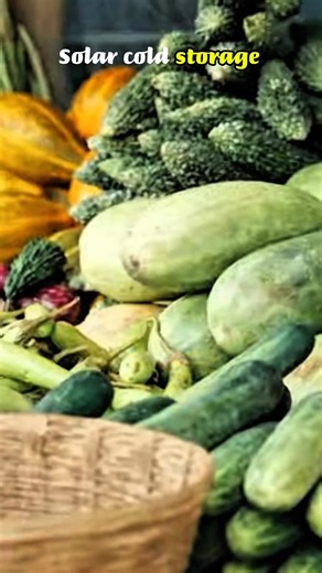 Solar Cold Storage: Gaon Ke Kisanon Ka Game Changer! ☀️❄️