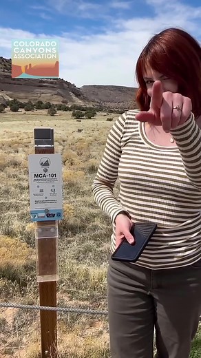 Hikers are helping spot rare wildflowers 🌸🏜 Colorado is the only place you’ll find the Dolores River skeletonplant. Park visitors are helping the @coloradocanyons and @mypubliclands keep an eye out for these beauties over time! #WildflowerWatch #CitizenScienceMonth #CitizenScience #CommunityScience #Chronolog #CoolChronolog #ParticipatoryScience #Conservation #Colorado