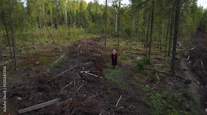 The girl and the cut down forest. The girl looks at the destroyed forest. Girl in national dress. Forest felling. Aerial view of the cut forest.